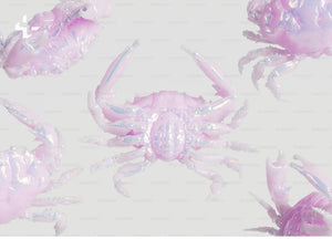 Voeding als Medicijn: Versterk Je Gezondheid en Bestrijd Parasieten!